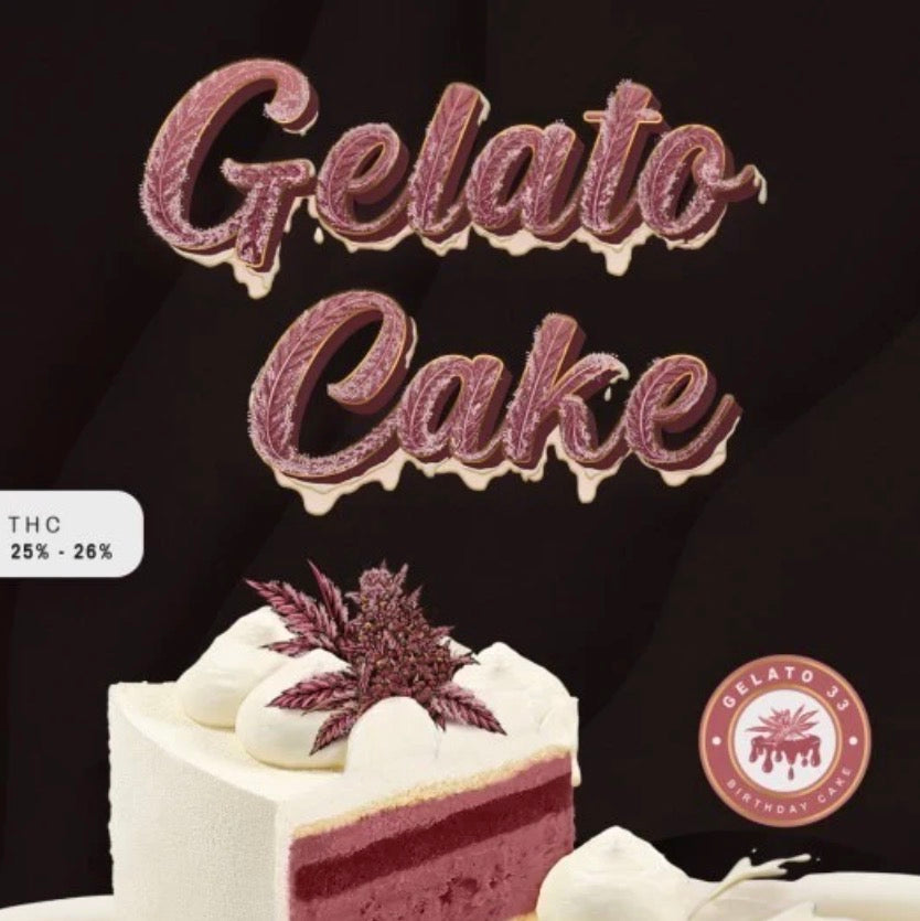 GELATO CAKE – FEMINISIERT – GELATO 33 X BDC